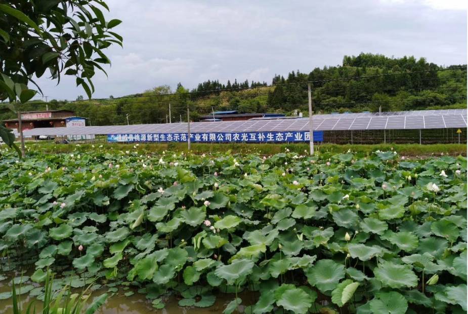 1MW Solar Agricultural Irrigation Project in Tongcheng